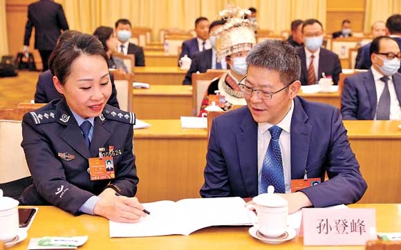 审议政府工作报告